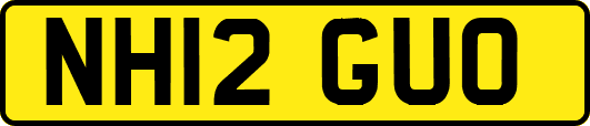 NH12GUO