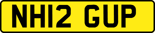 NH12GUP