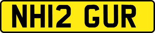 NH12GUR