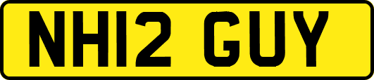 NH12GUY