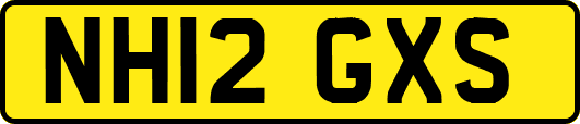 NH12GXS