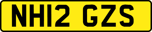 NH12GZS