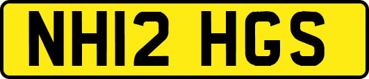 NH12HGS