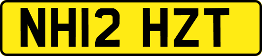 NH12HZT