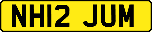 NH12JUM