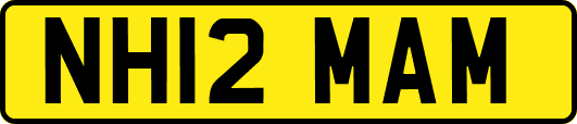 NH12MAM