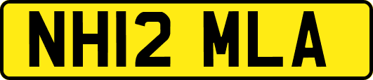NH12MLA