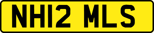 NH12MLS
