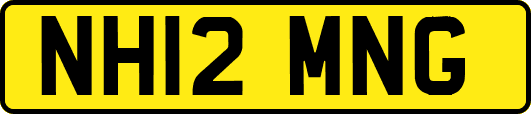 NH12MNG