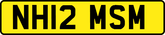 NH12MSM