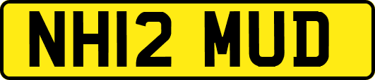 NH12MUD