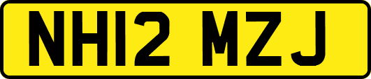 NH12MZJ