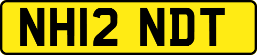 NH12NDT
