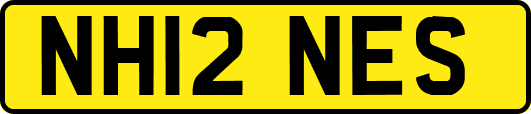 NH12NES