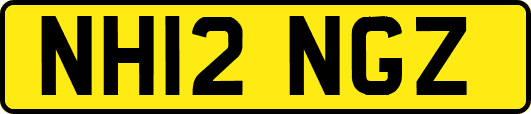 NH12NGZ