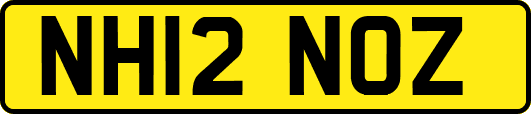 NH12NOZ