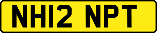 NH12NPT