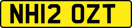 NH12OZT