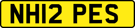 NH12PES