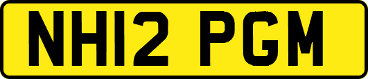 NH12PGM