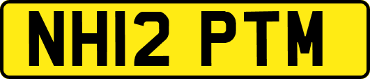 NH12PTM