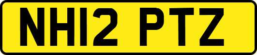 NH12PTZ