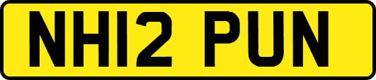 NH12PUN
