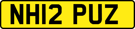 NH12PUZ