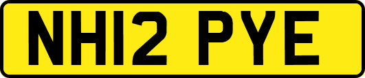 NH12PYE