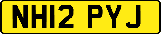 NH12PYJ
