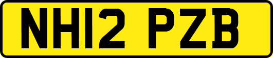 NH12PZB