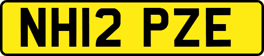 NH12PZE