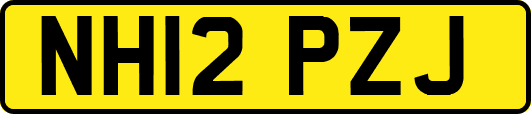 NH12PZJ
