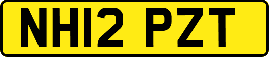 NH12PZT