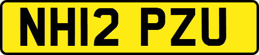 NH12PZU