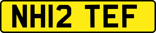 NH12TEF