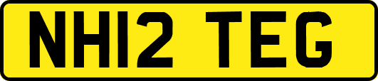 NH12TEG
