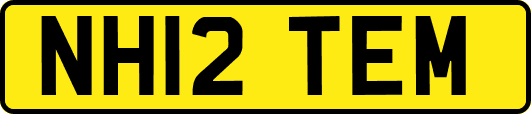 NH12TEM