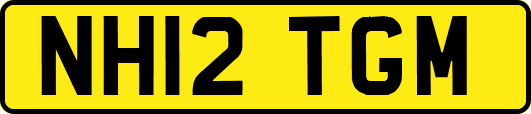 NH12TGM