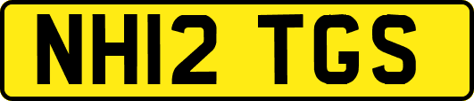 NH12TGS