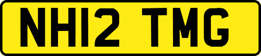 NH12TMG