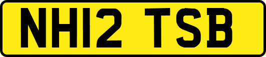 NH12TSB