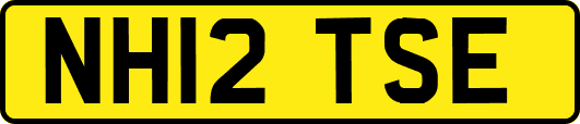 NH12TSE