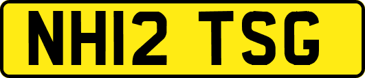 NH12TSG