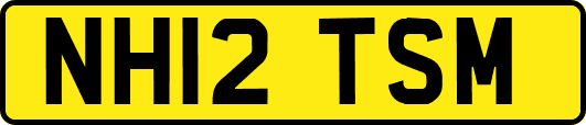 NH12TSM