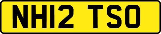NH12TSO