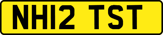 NH12TST