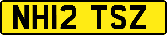 NH12TSZ
