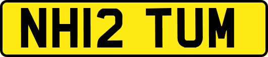 NH12TUM