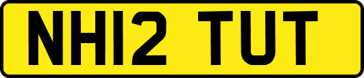 NH12TUT